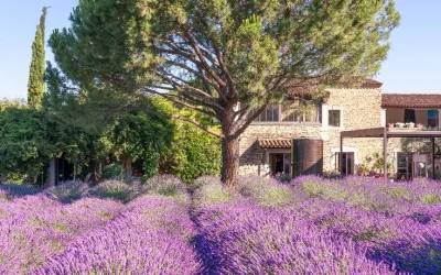 La Lavande en Provence – Le Musée de la Lavande La Lavande en Provence - Le Musée de la Lavande