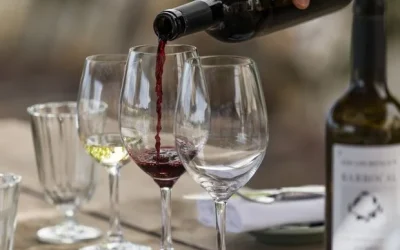 Wine Tasting Wine Tasting